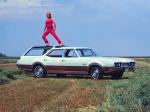 Oldsmobile Vista Cruiser Custom 1968 года